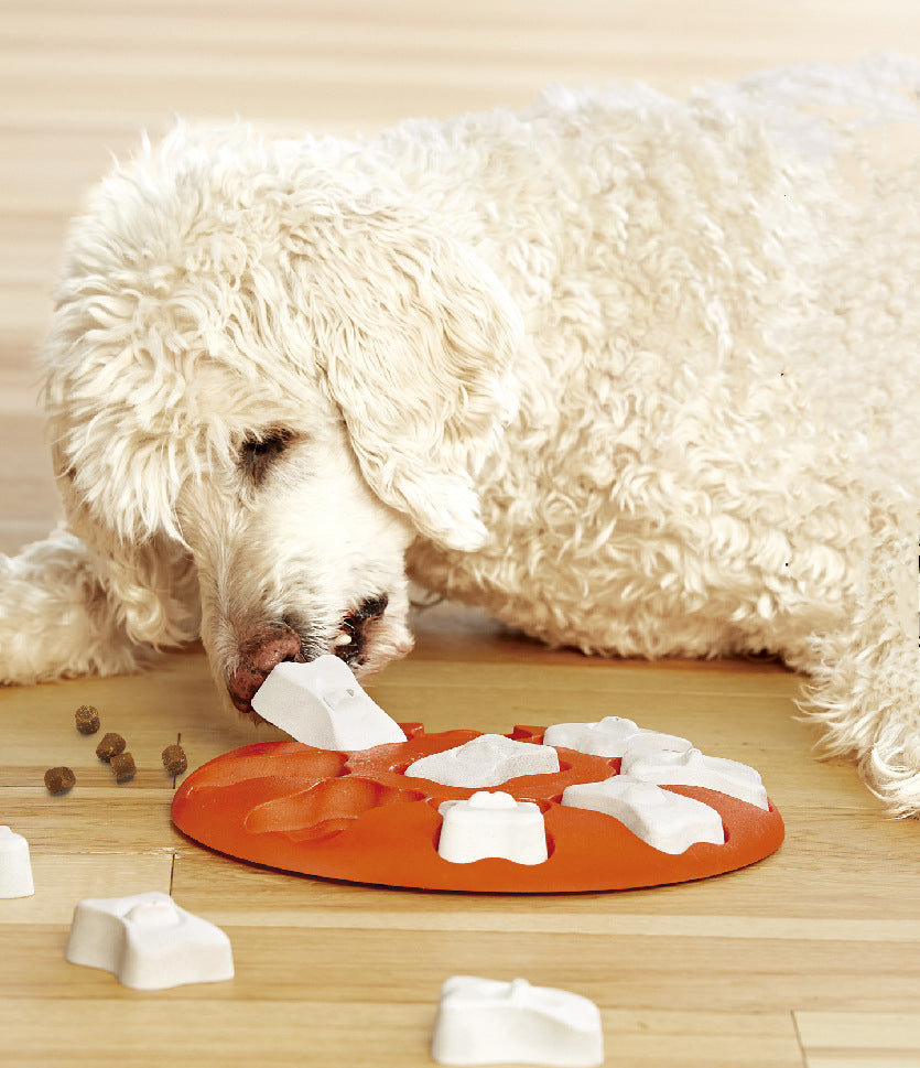 Dog Puzzle Treat/Delayed Feeding Game