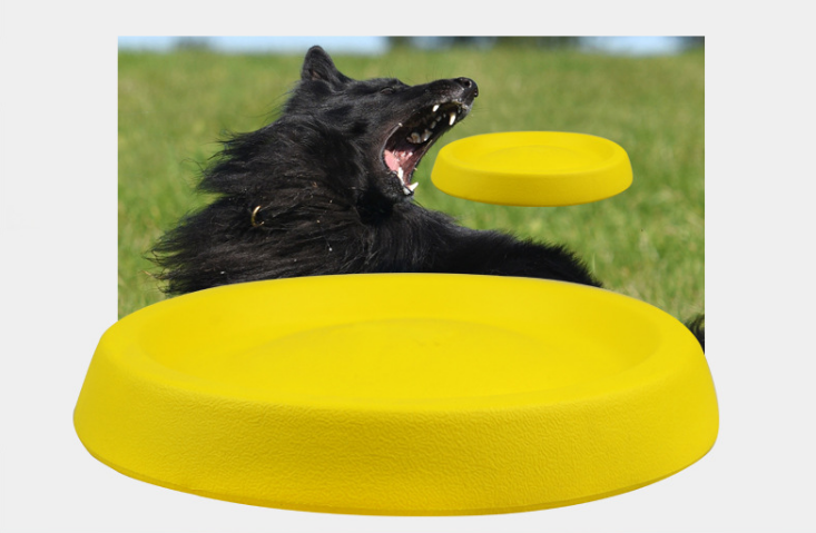 Throwing/Fetching Disc for Dogs