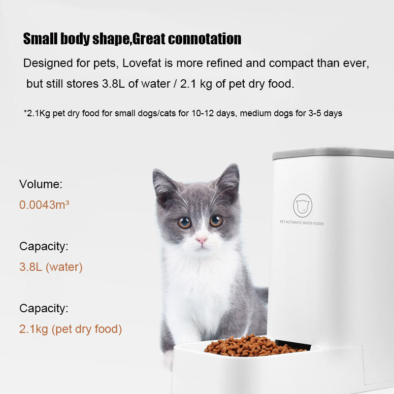 Large-capacity Detachable Bowl Automatic Feeder and Drinking Water Dispenser